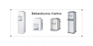 Onde encontrar uma assistência Karina