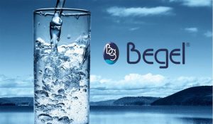 assistencia tecnica autorizada begel