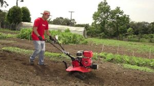 assistencia tecnica branco motores