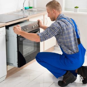 assistencia electrolux